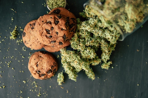 Semi e cime di cannabis Cookies di Pyramid Seeds — profilo terpenico dolce e terroso